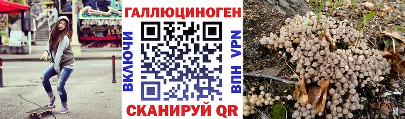 наркота Кочубеевское KRAKEN как зайти Галлюциногенные грибы Psilocybe